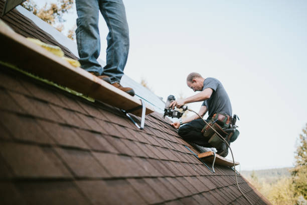 Best Gutter Installation and Roofing  in Jamestown, NY